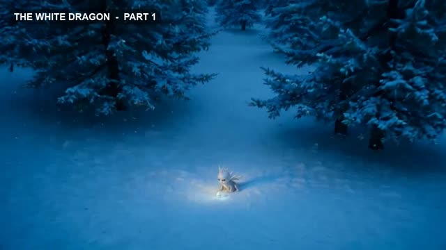 The White Dragon — Part 1